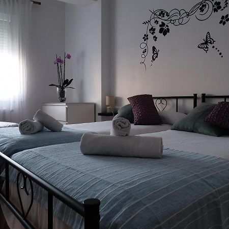 Rua Dos Concheiros, 7 Apartamento 圣地亚哥－德孔波斯特拉 外观 照片